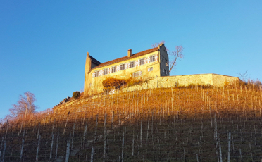 Schloss Schwandegg, Waltalingen / Schweiz