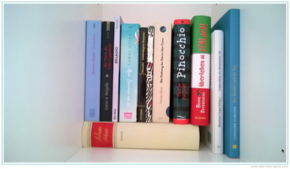 Bücher aus dem Ferienloft in Pigra am Comer See Italien